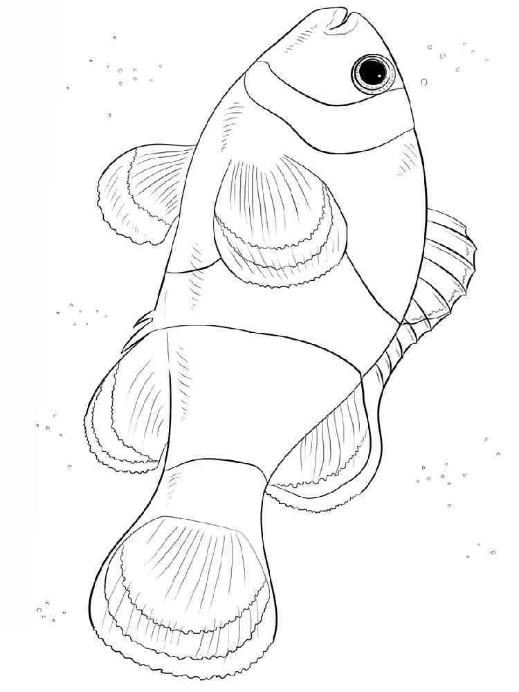 31 Clownfish Coloring Pages Printable 2