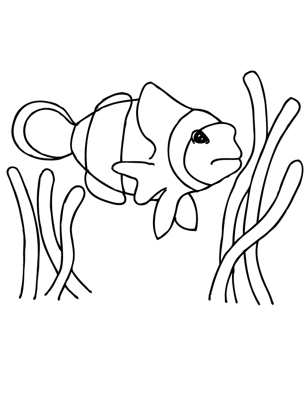 31 Clownfish Coloring Pages Printable 25