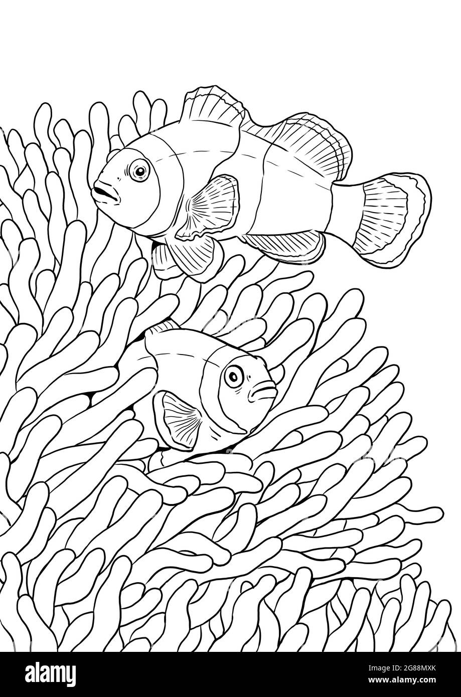 31 Clownfish Coloring Pages Printable 30