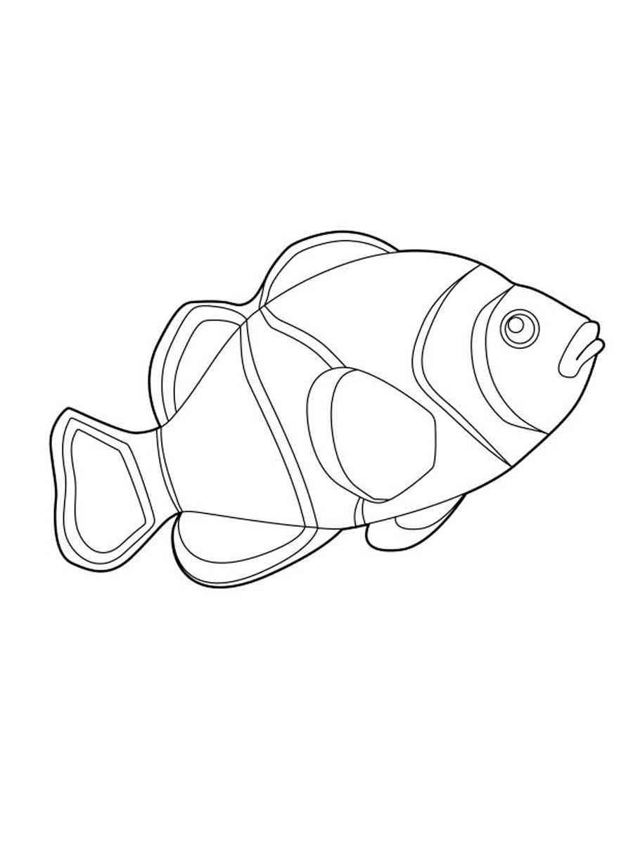 31 Clownfish Coloring Pages Printable 6