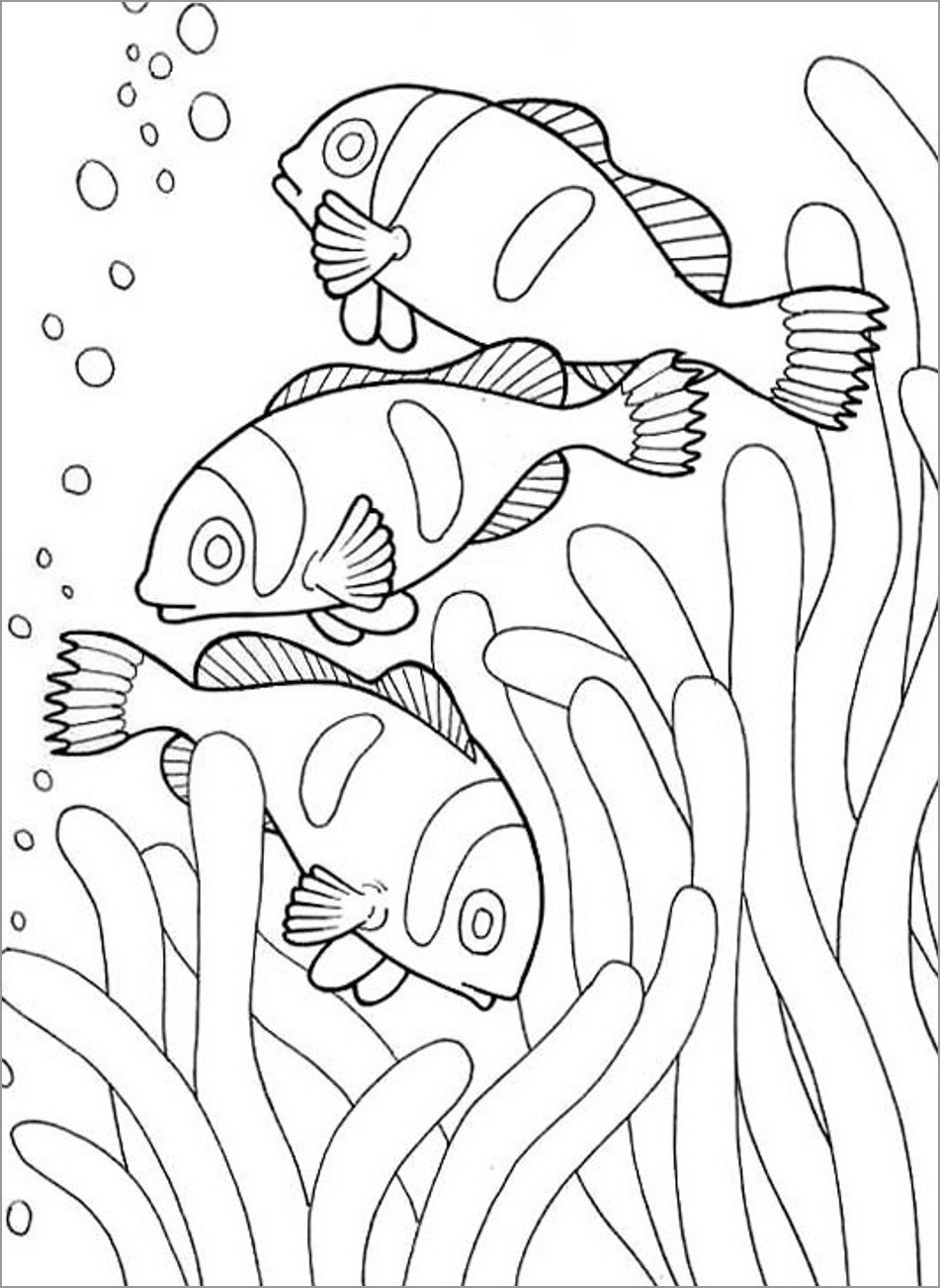 31 Clownfish Coloring Pages Printable 7