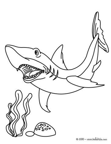 ferocious tiger shark coloring pages printable jpg