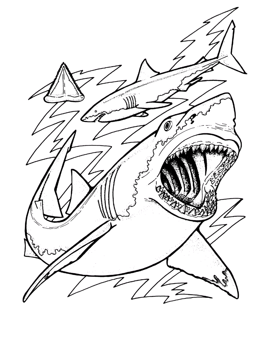 31 Ferocious Tiger Shark Coloring Pages Printable 33