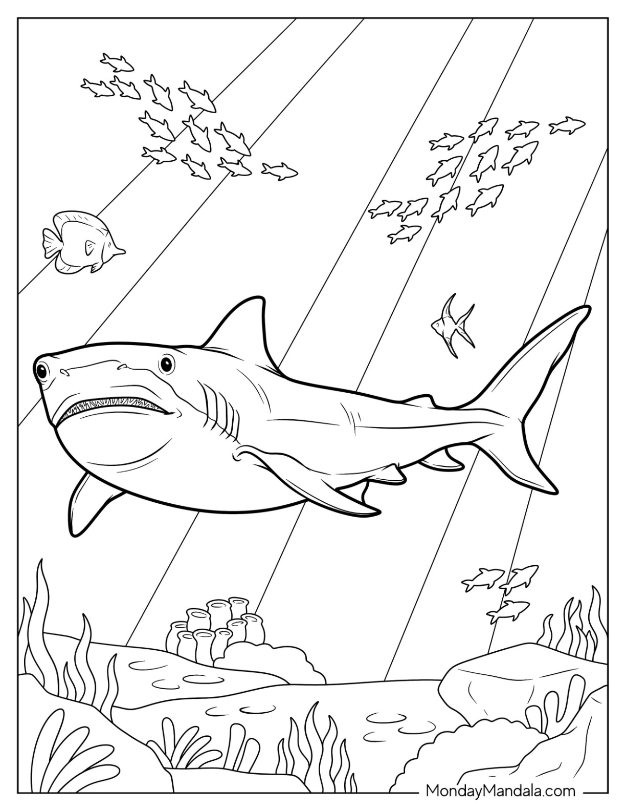 31 Ferocious Tiger Shark Coloring Pages Printable 5