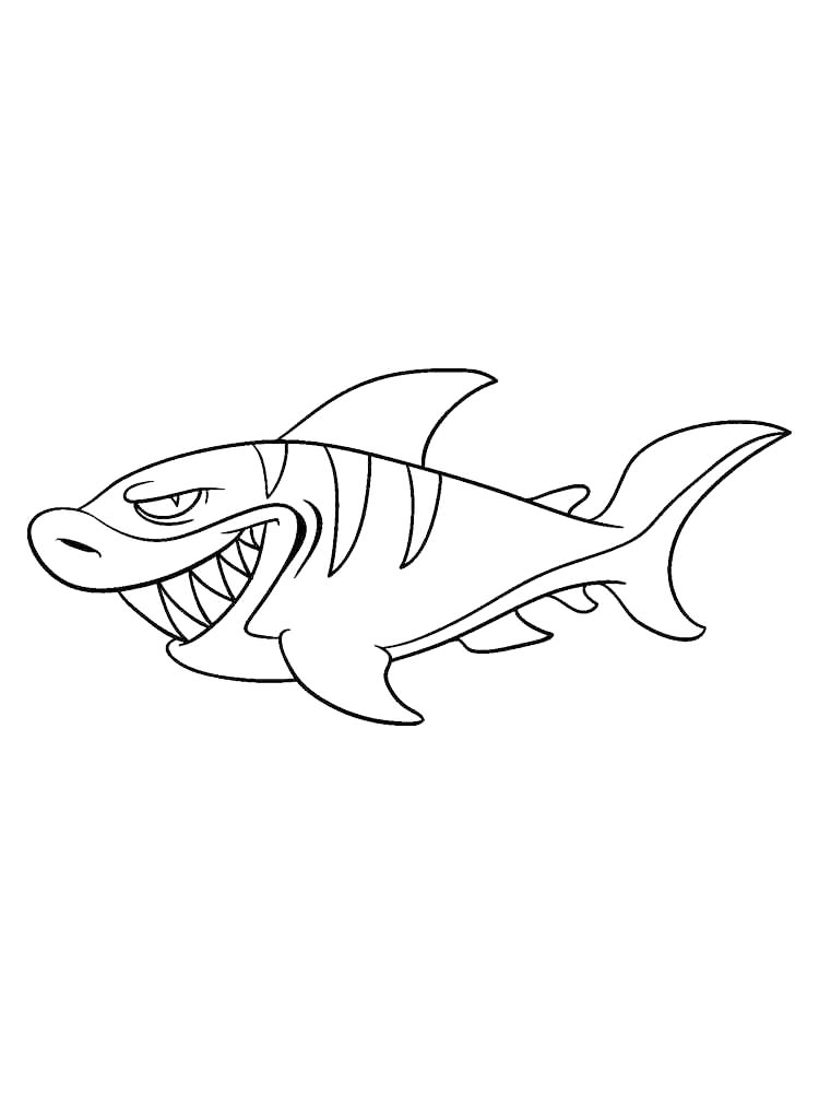 31 Ferocious Tiger Shark Coloring Pages Printable 7