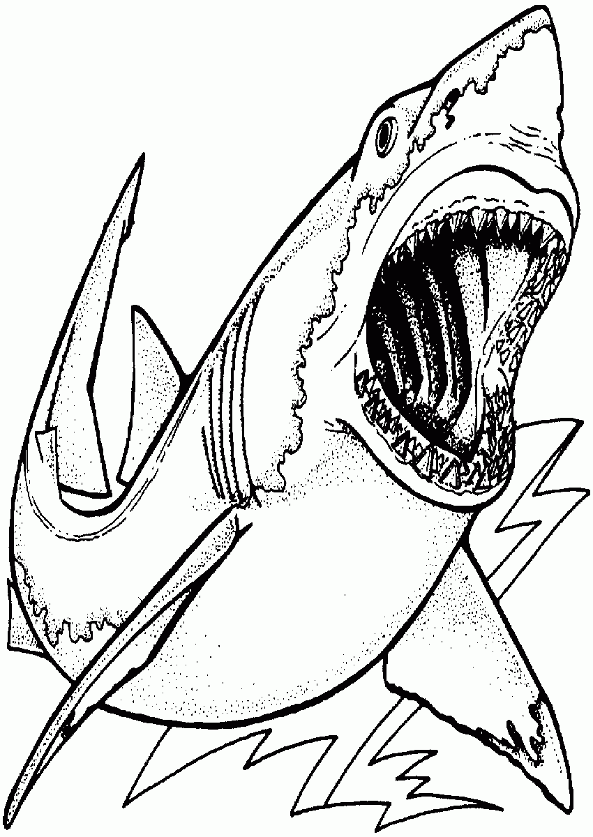 ferocious tiger shark coloring pages printable jpg