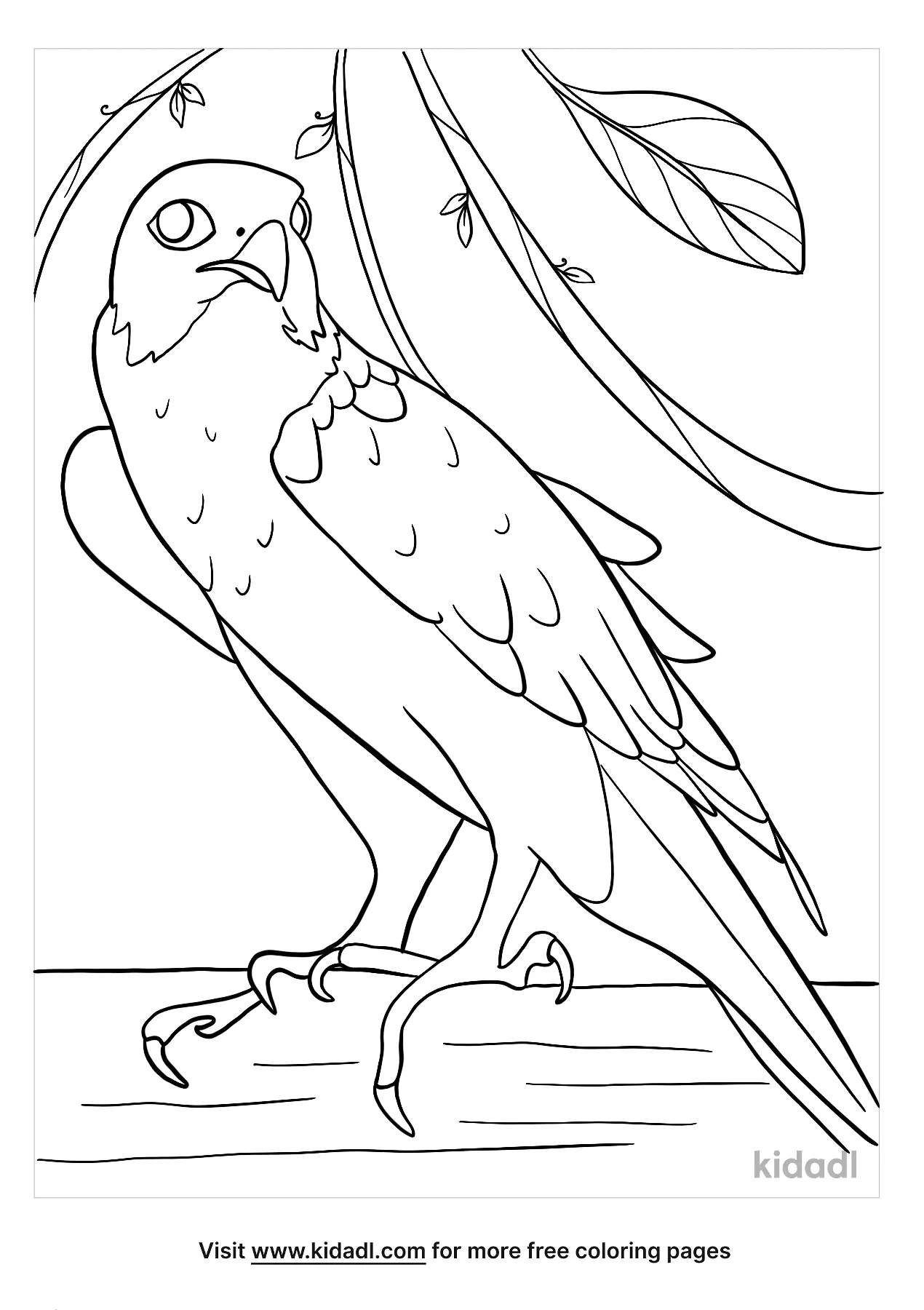 31 Sharp Falcons Coloring Pages Printable 20