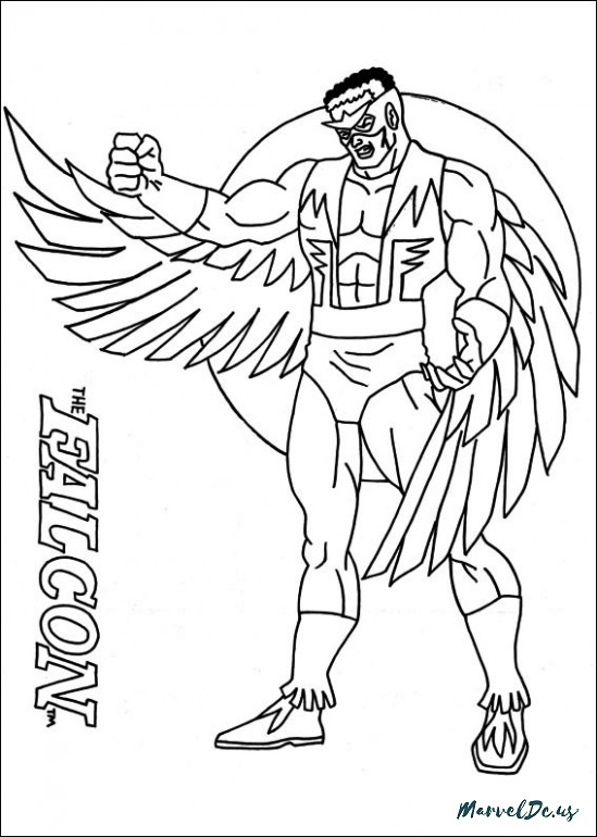 sharp falcons coloring pages printable jpg