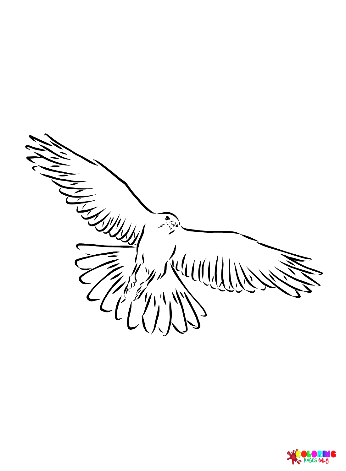 31 Sharp Falcons Coloring Pages Printable 27