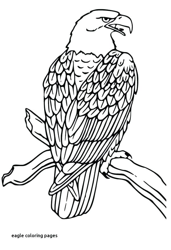 31 Sharp Falcons Coloring Pages Printable 30