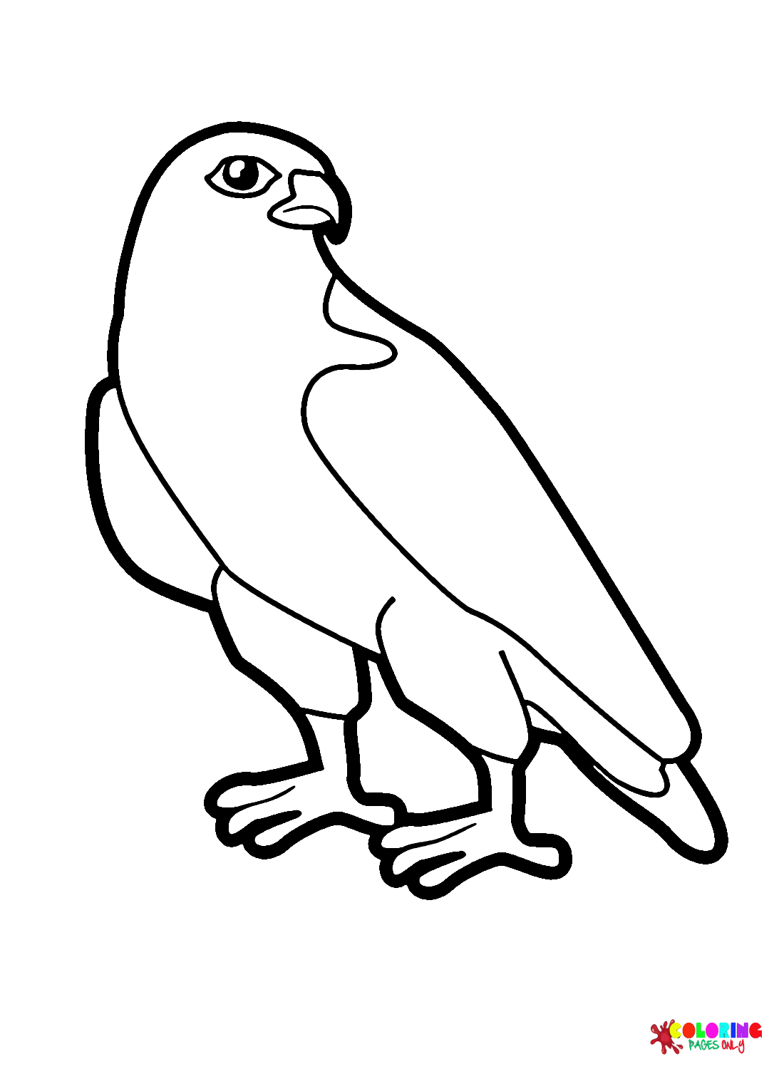 31 Sharp Falcons Coloring Pages Printable 32