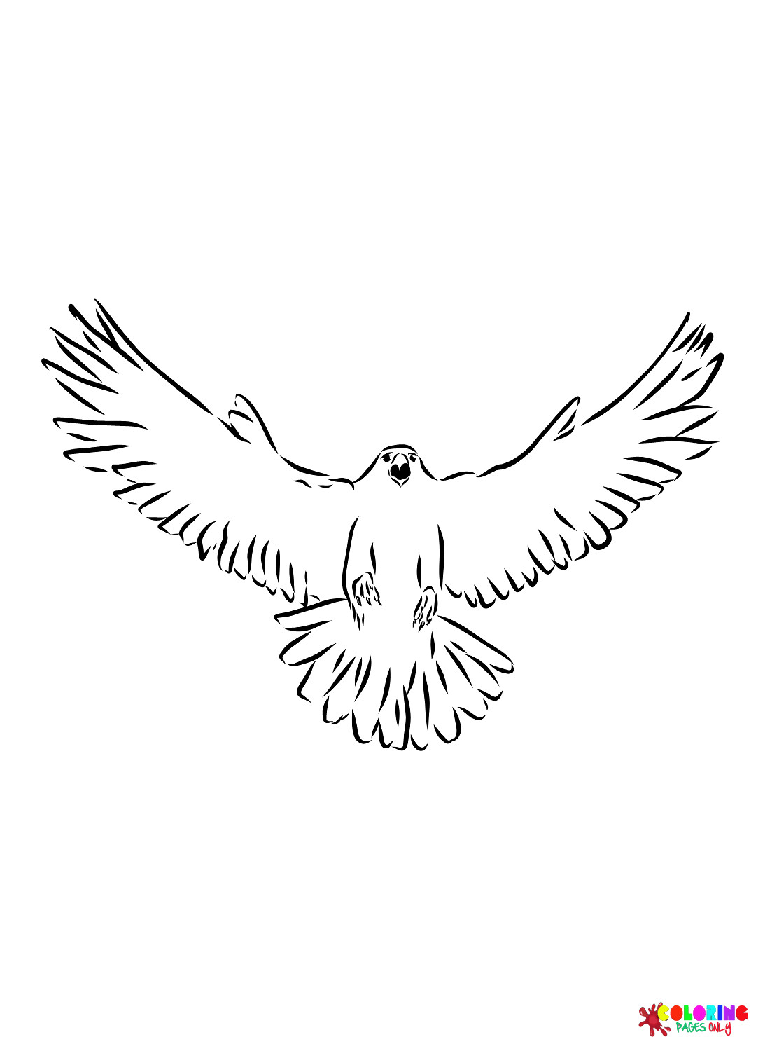 31 Sharp Falcons Coloring Pages Printable 8