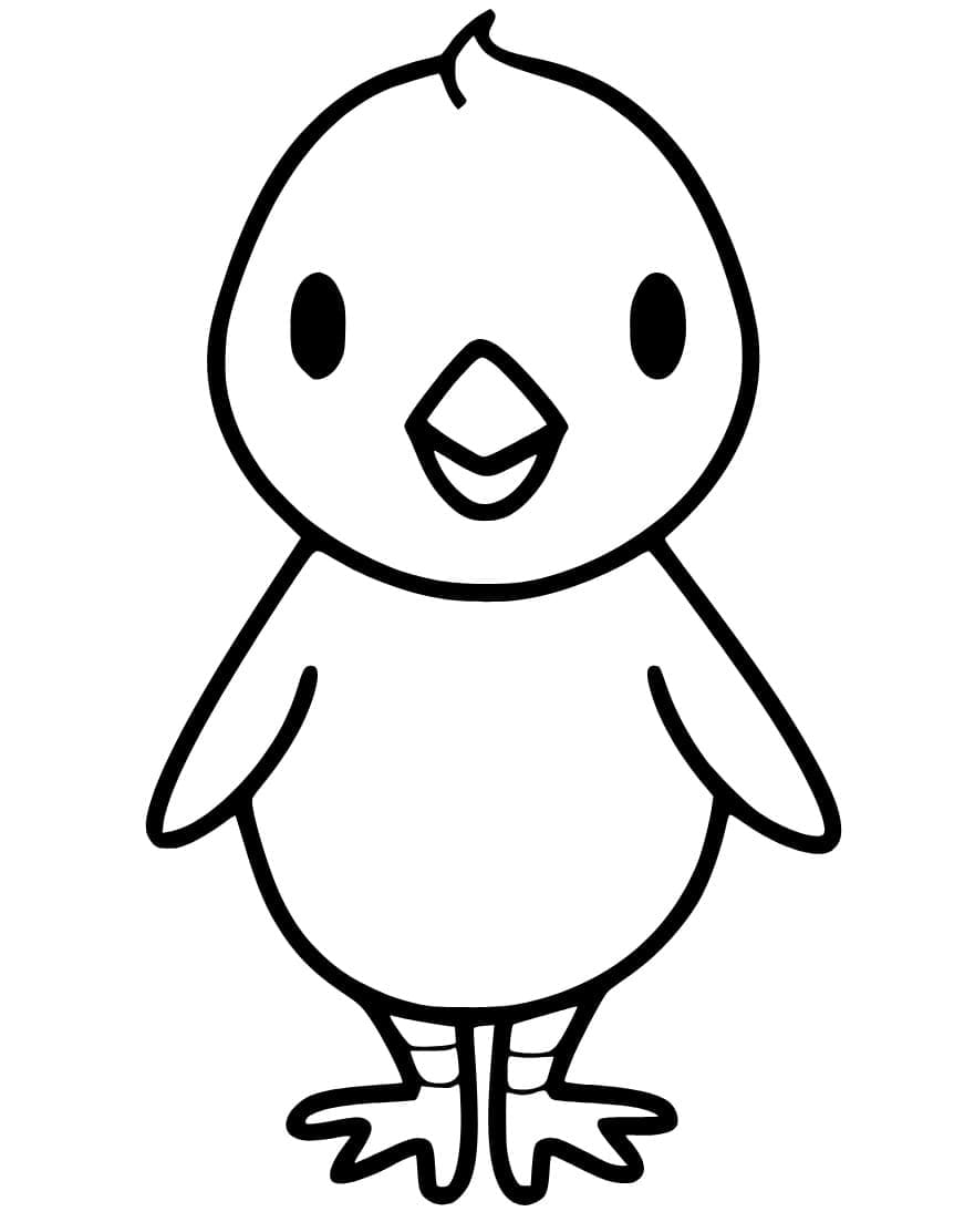 32 Adorable Chick Coloring Page Printable 20