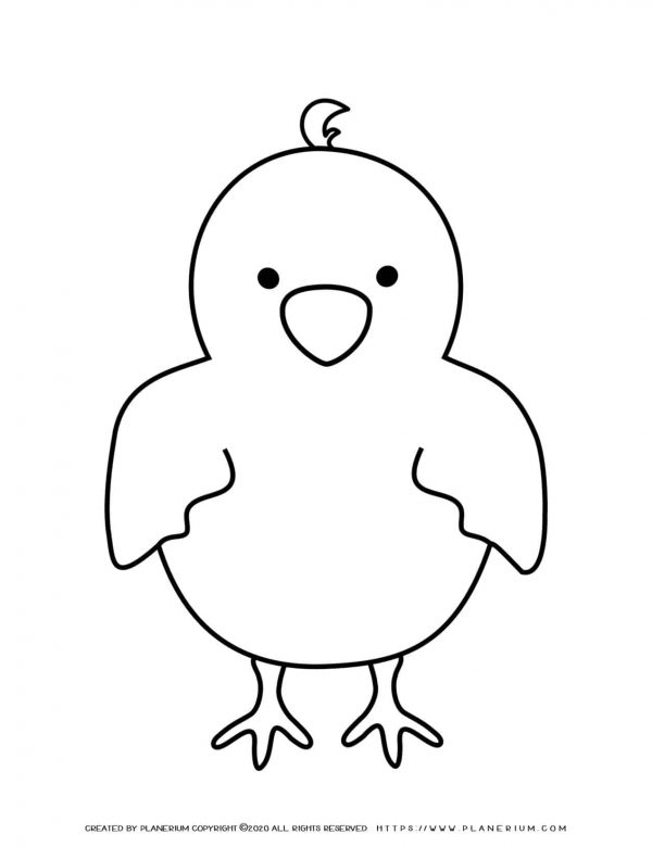 32 Adorable Chick Coloring Page Printable 28