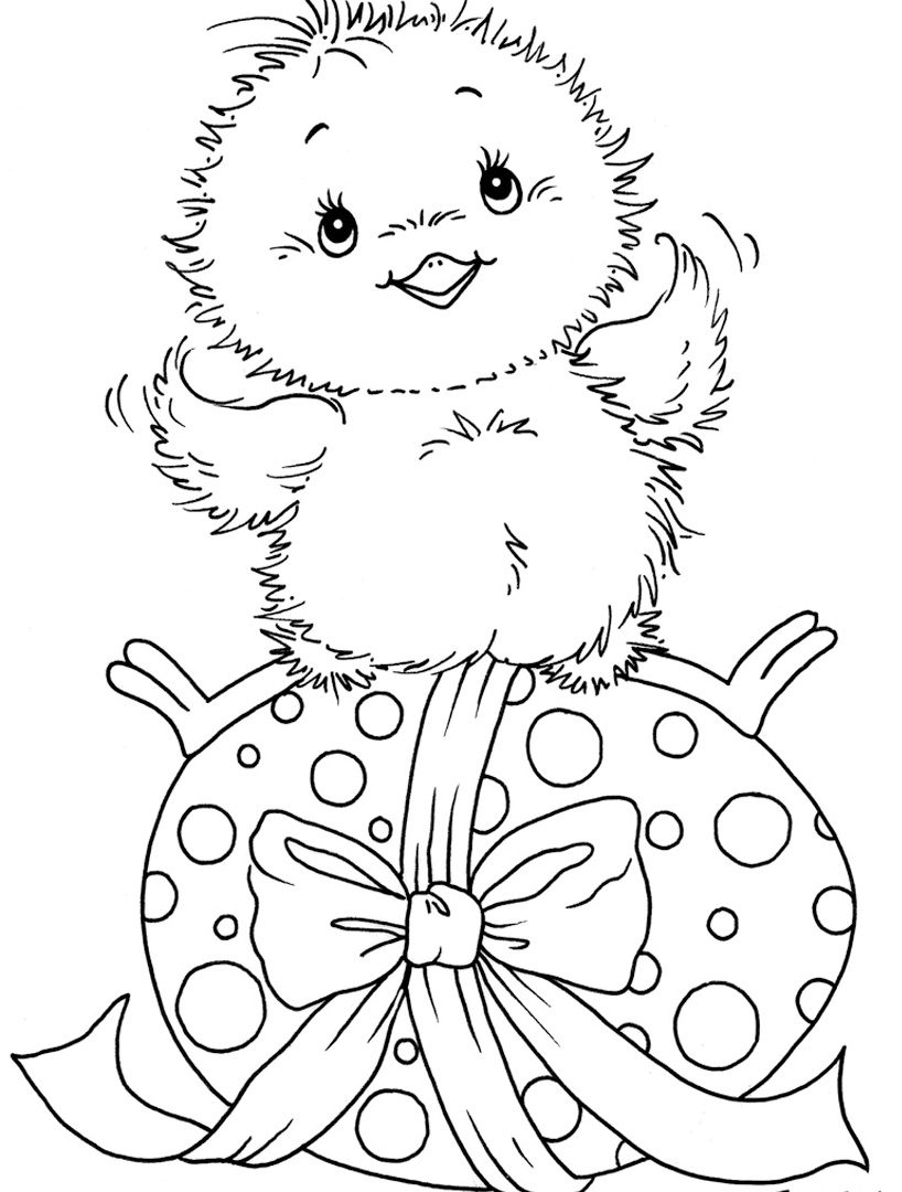 32 Adorable Chick Coloring Page Printable 29