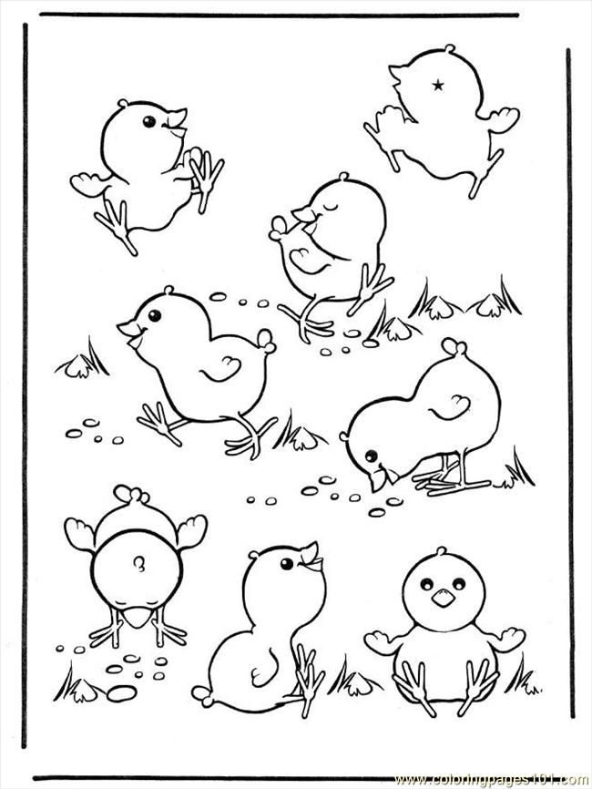 32 Adorable Chick Coloring Page Printable 33