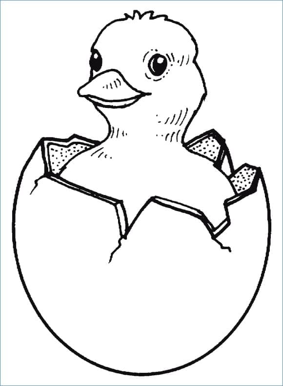 32 Adorable Chick Coloring Page Printable 35