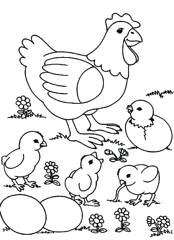 32 Adorable Chick Coloring Page Printable 4