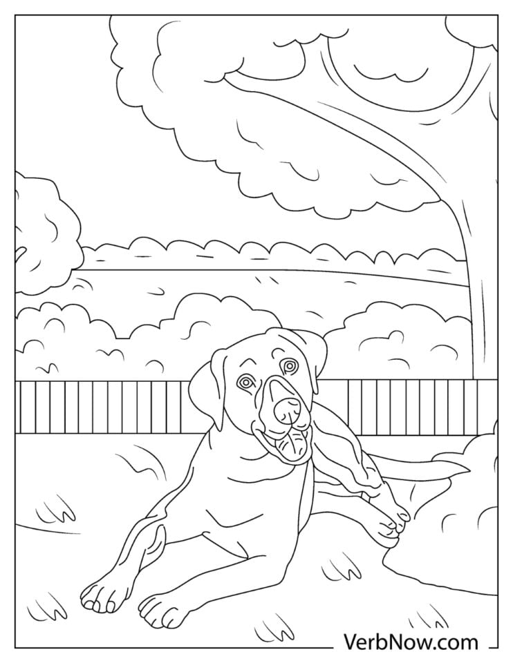 33 Friendly Labrador Coloring Pages Printable 1