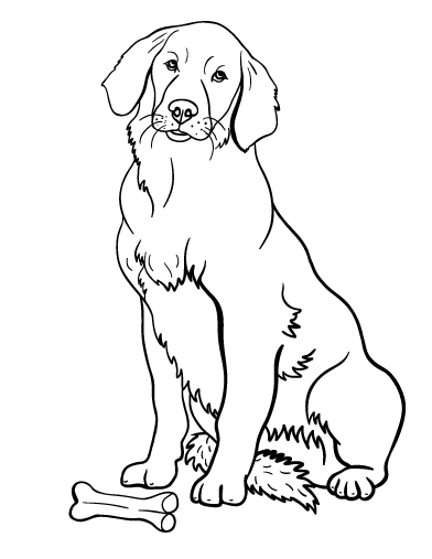 33 Friendly Labrador Coloring Pages Printable 10