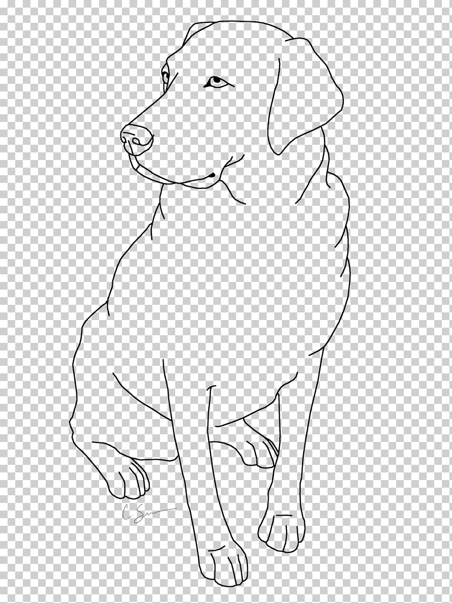 33 Friendly Labrador Coloring Pages Printable 14