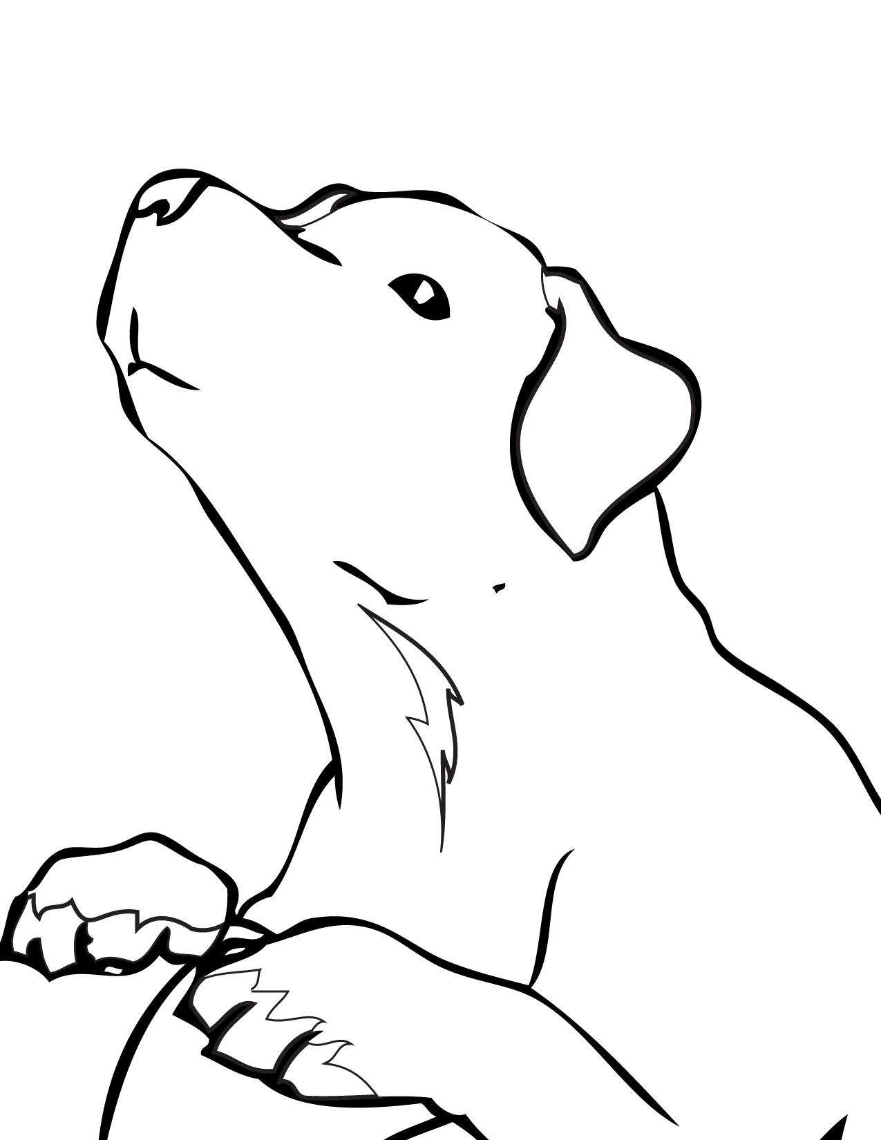 33 Friendly Labrador Coloring Pages Printable 26