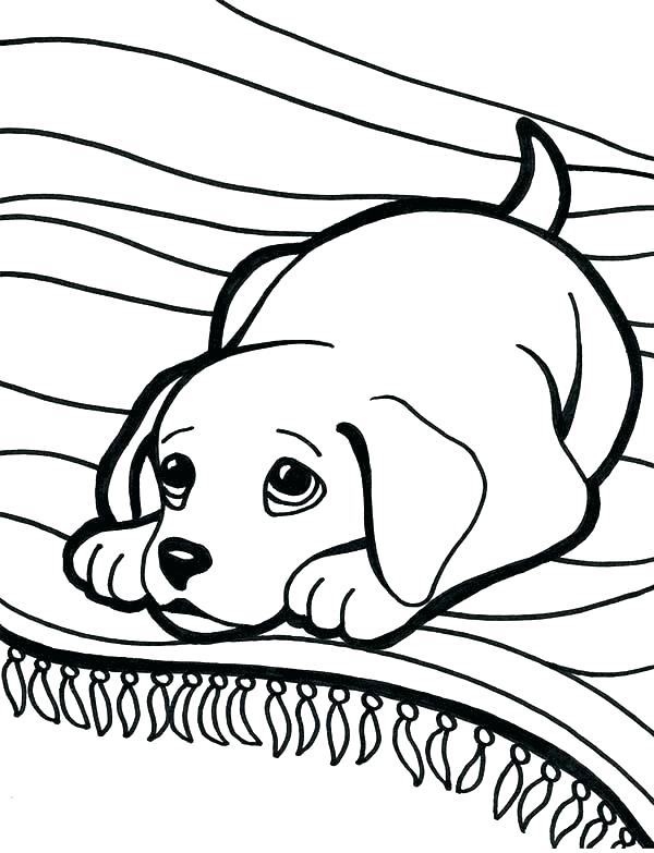 friendly labrador coloring pages printable jpg