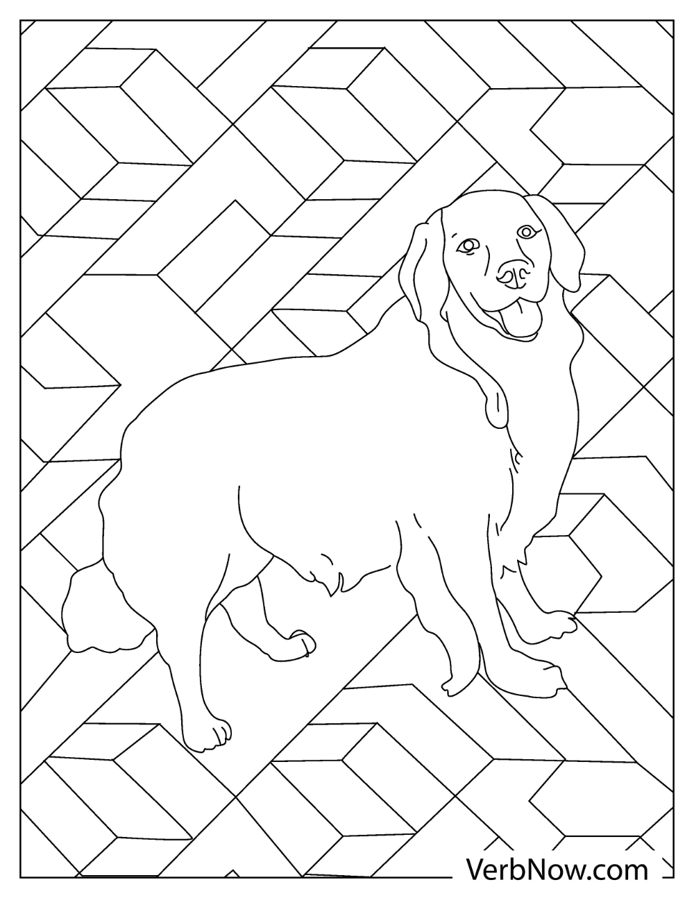 33 Friendly Labrador Coloring Pages Printable 30