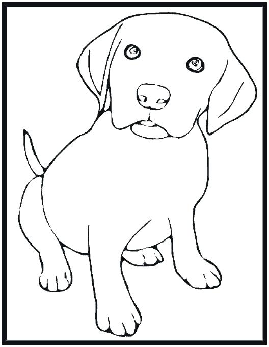 33 Friendly Labrador Coloring Pages Printable 34