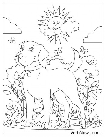 33 Friendly Labrador Coloring Pages Printable 35