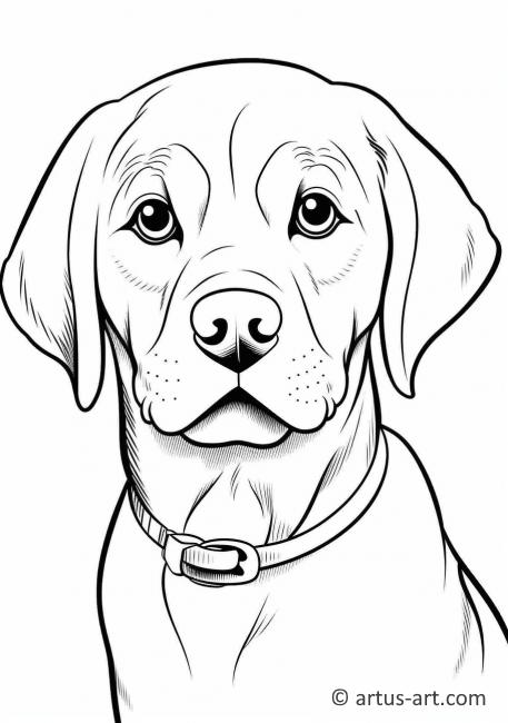 33 Friendly Labrador Coloring Pages Printable 4