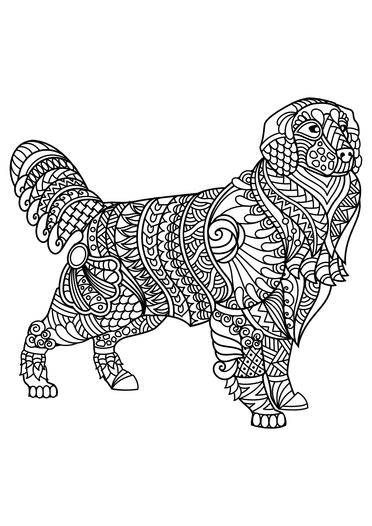 33 Friendly Labrador Coloring Pages Printable 8