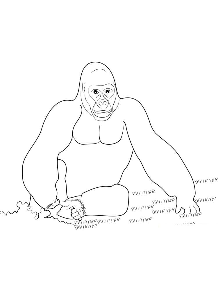 33 King Kong Coloring Pages Printable 19