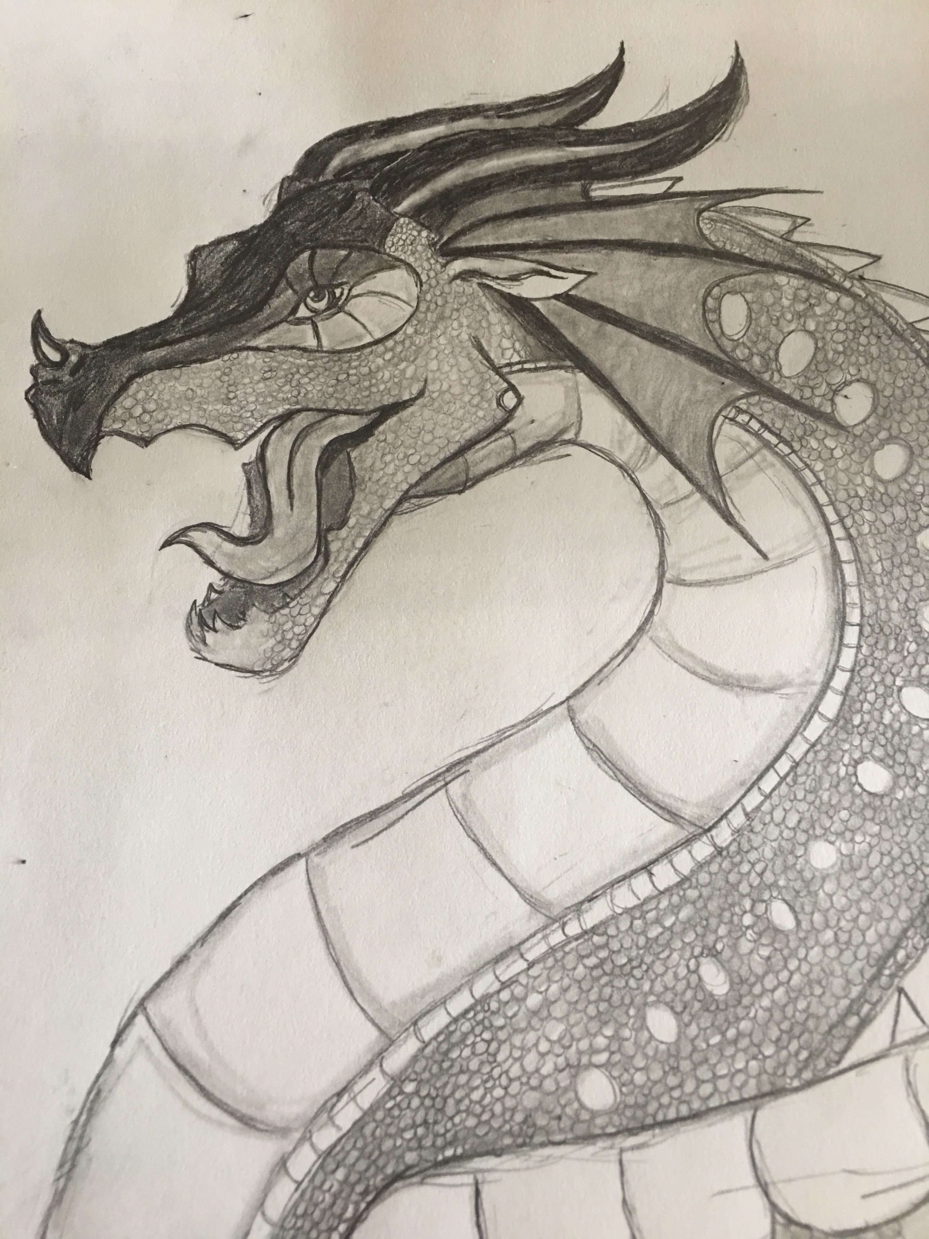 33 Majestic Wings of Fire Coloring Pages Printable 19