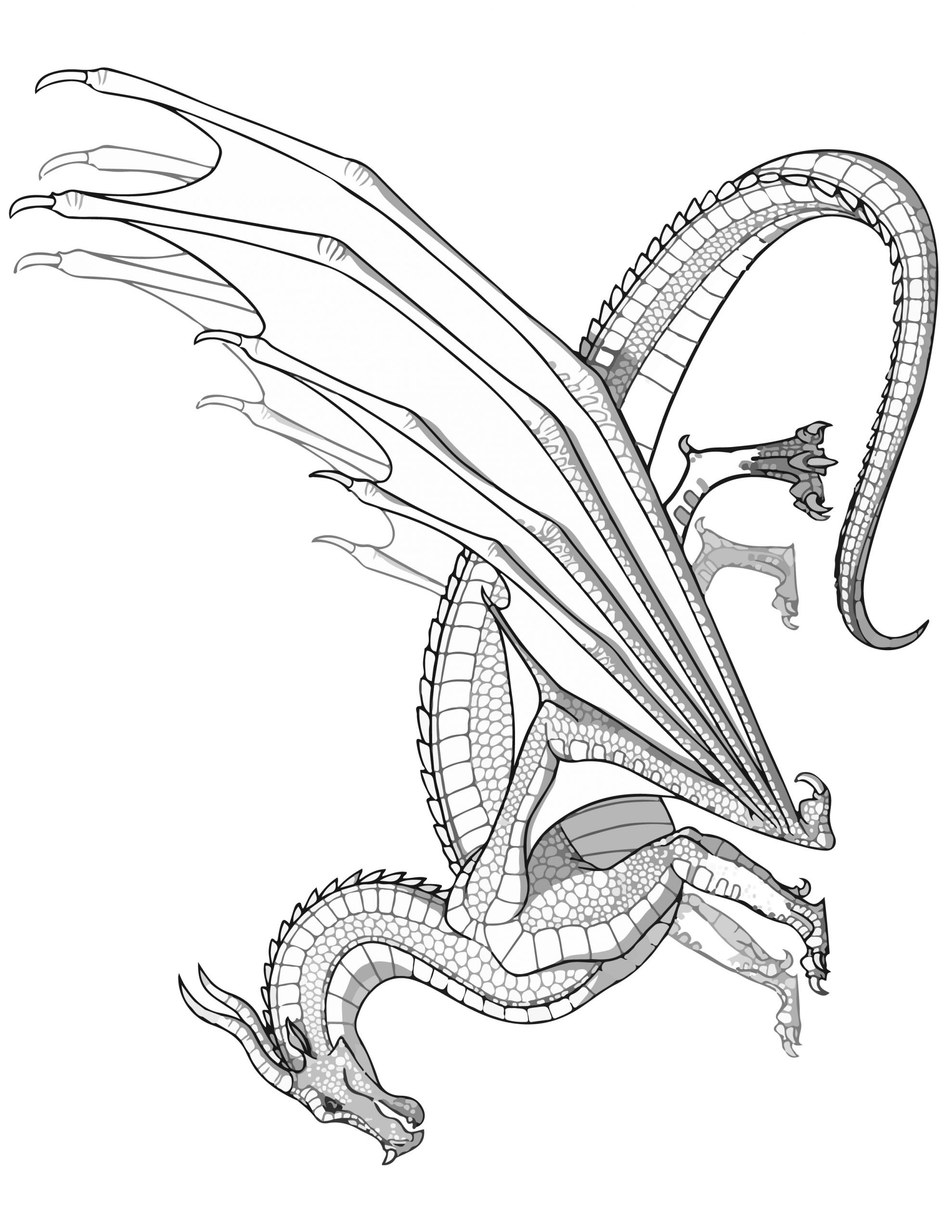 33 Majestic Wings of Fire Coloring Pages Printable 31