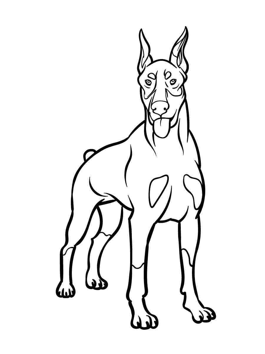 34 Doberman Coloring Pages Printable 1