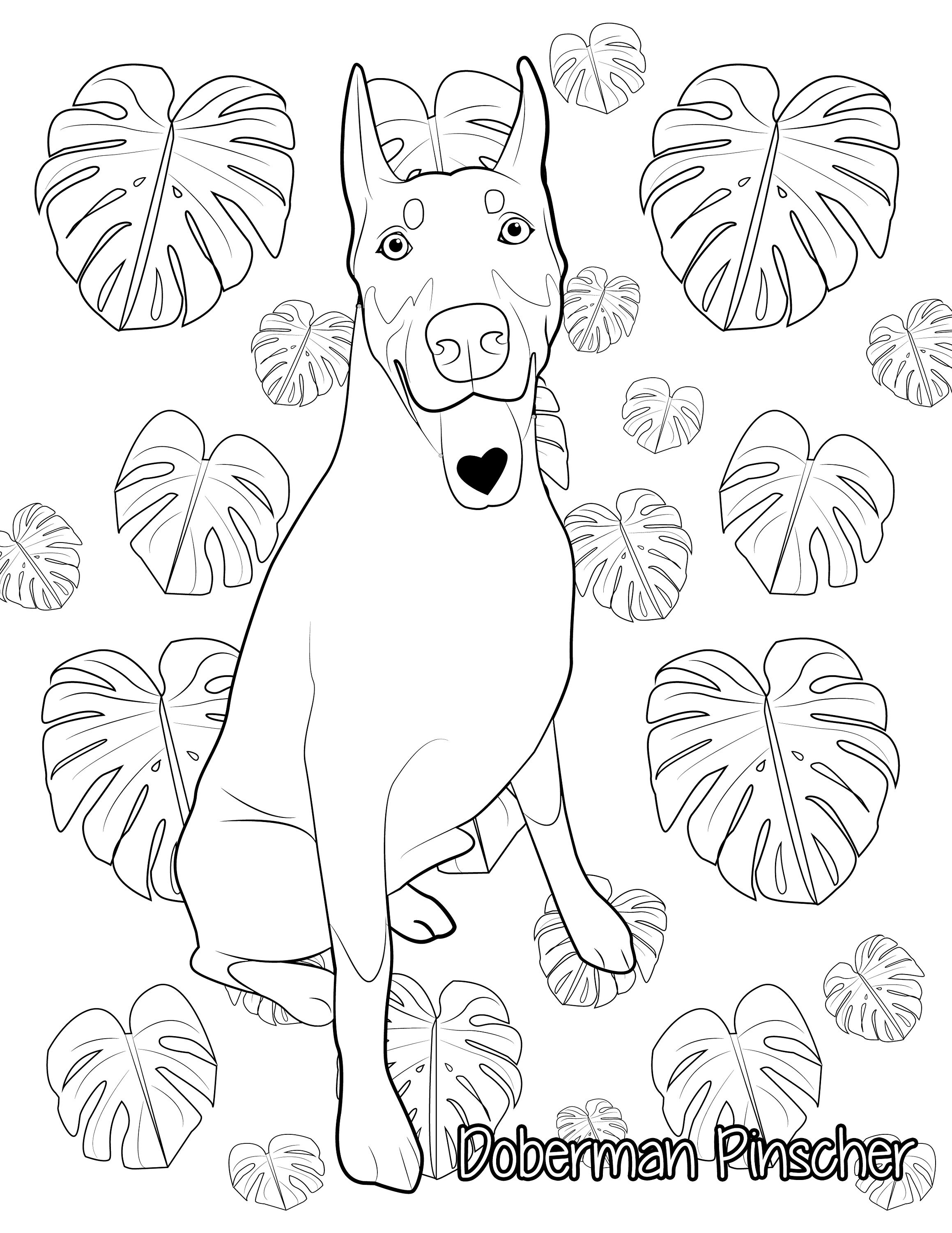 34 Doberman Coloring Pages Printable 25