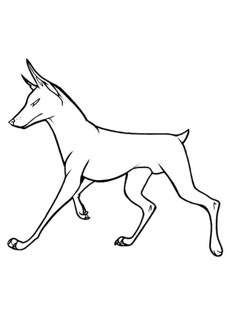 34 Doberman Coloring Pages Printable 26