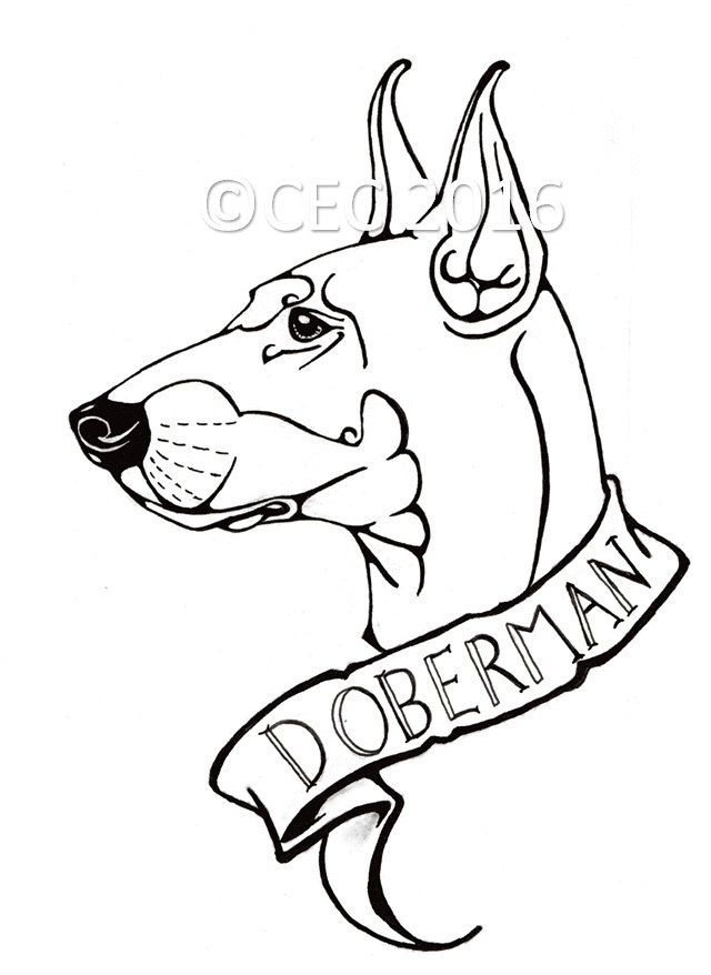 34 Doberman Coloring Pages Printable 29