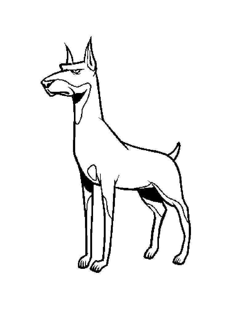 34 Doberman Coloring Pages Printable 3