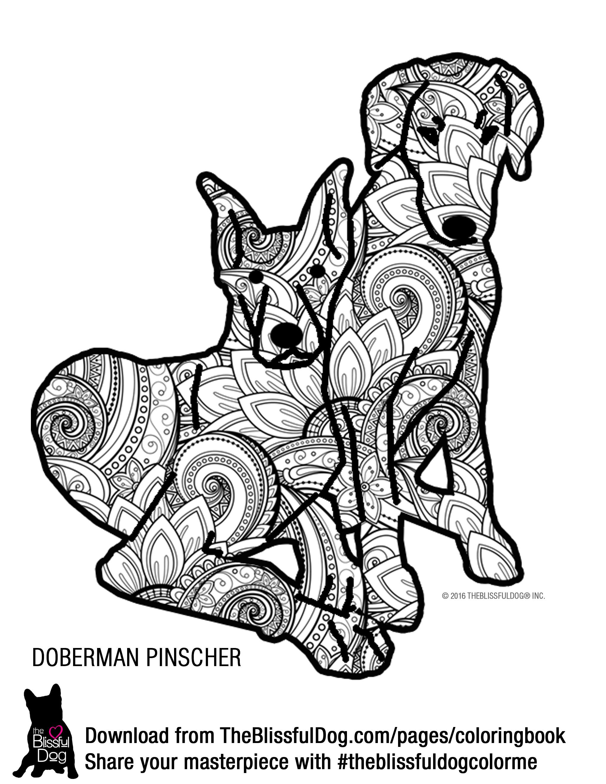 34 Doberman Coloring Pages Printable 32