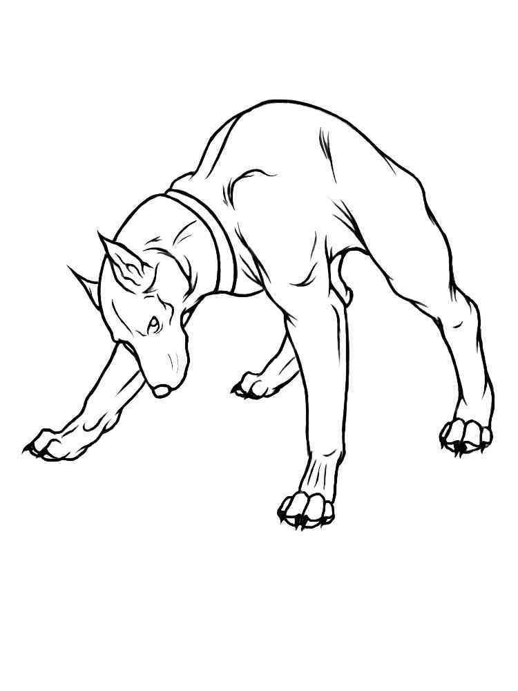 34 Doberman Coloring Pages Printable 4