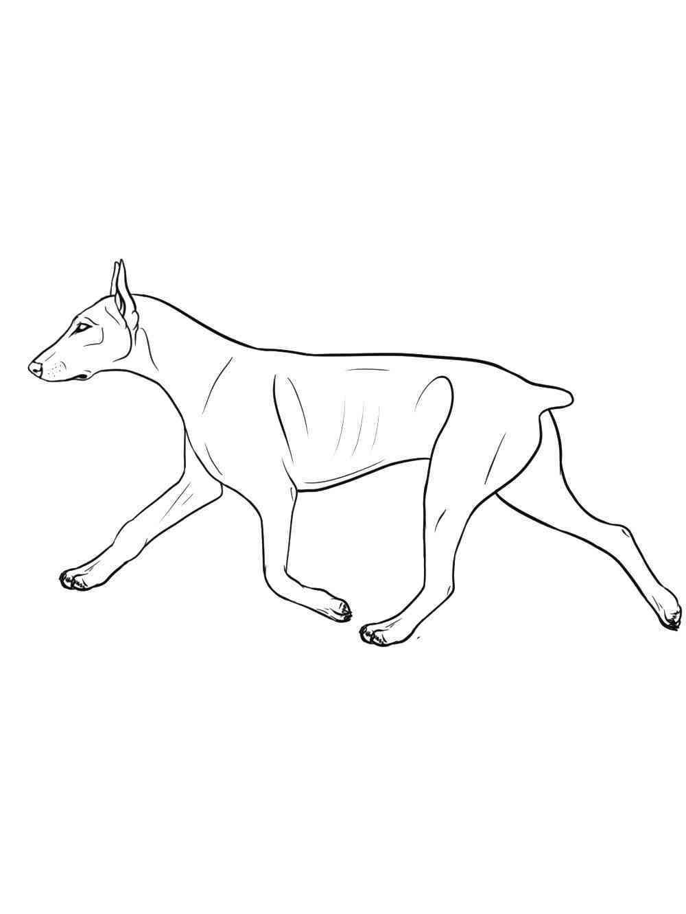 34 Doberman Coloring Pages Printable 7