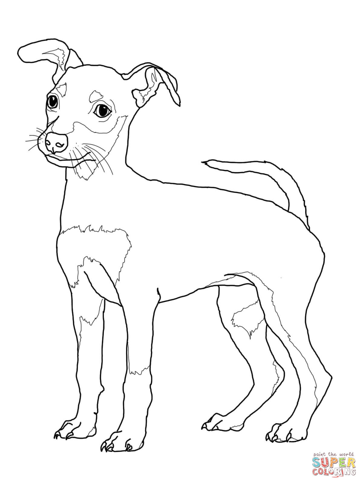 34 Doberman Coloring Pages Printable 8