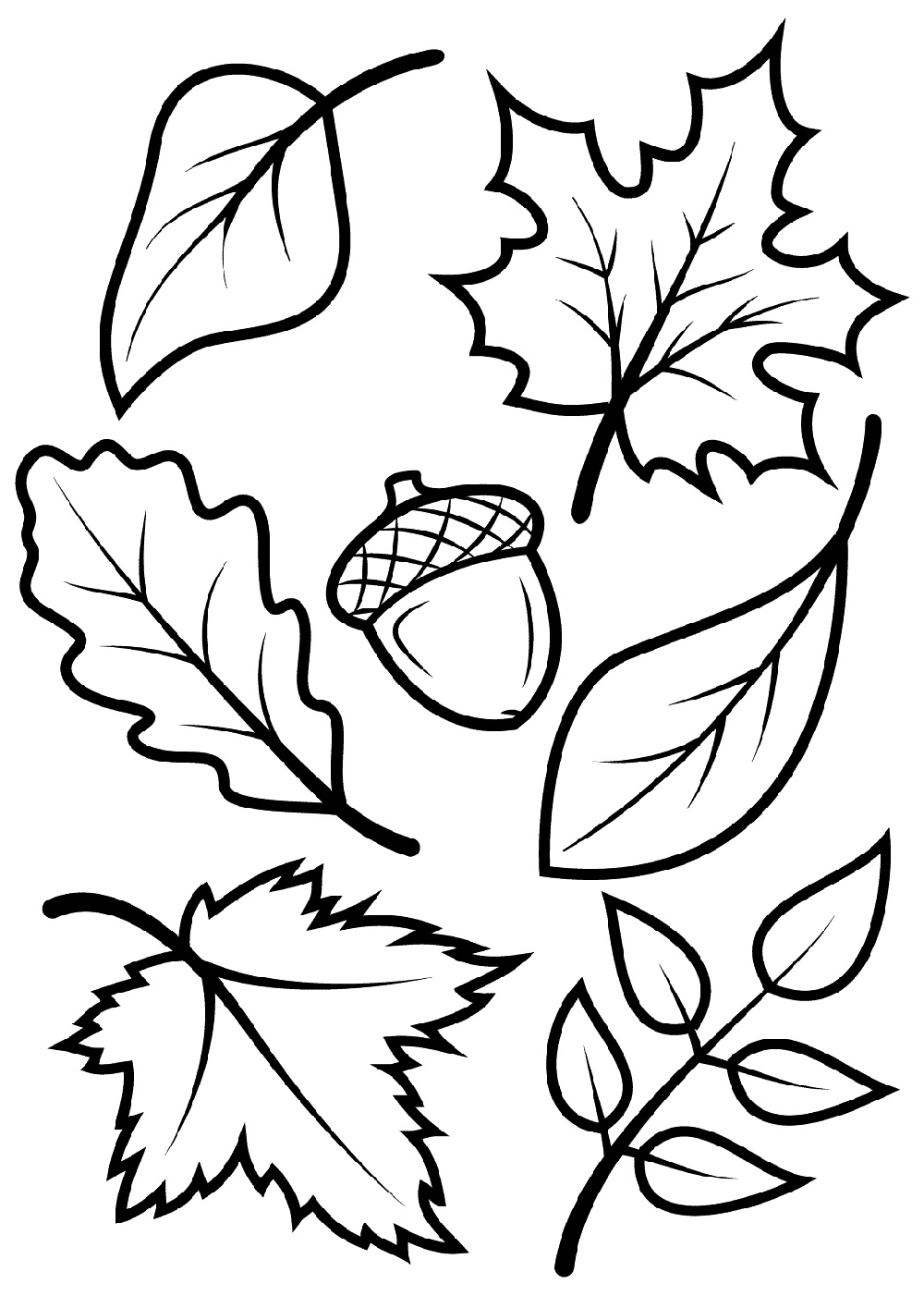 34 Fall Leaves Coloring Pages Printable 1