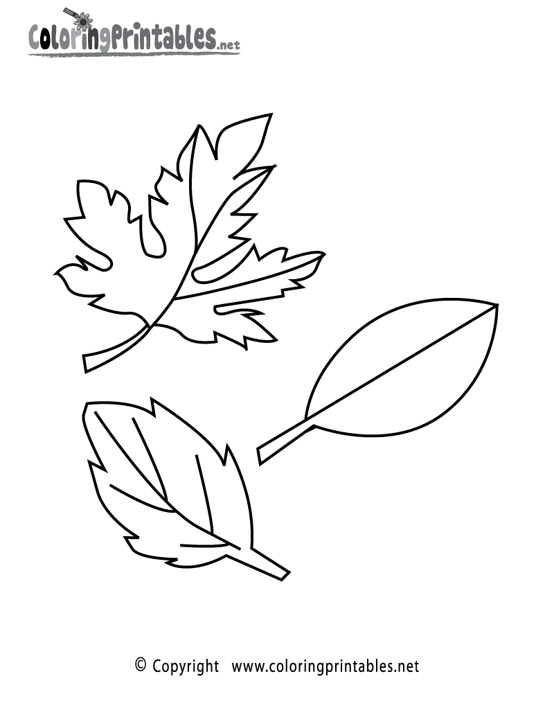 34 Fall Leaves Coloring Pages Printable 13