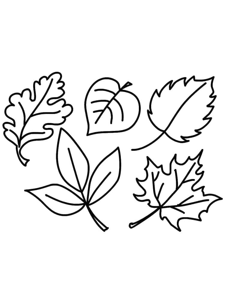 34 Fall Leaves Coloring Pages Printable 16