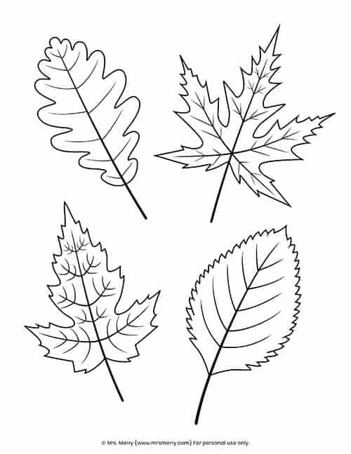 34 Fall Leaves Coloring Pages Printable 18