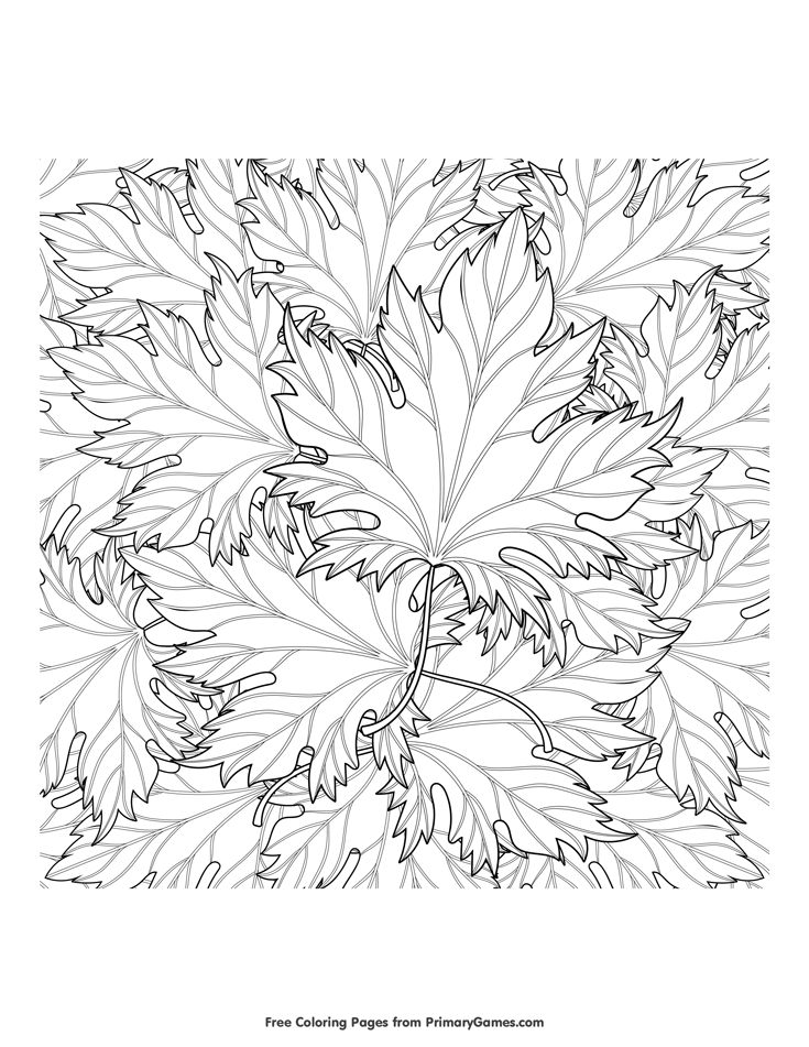 34 Fall Leaves Coloring Pages Printable 19