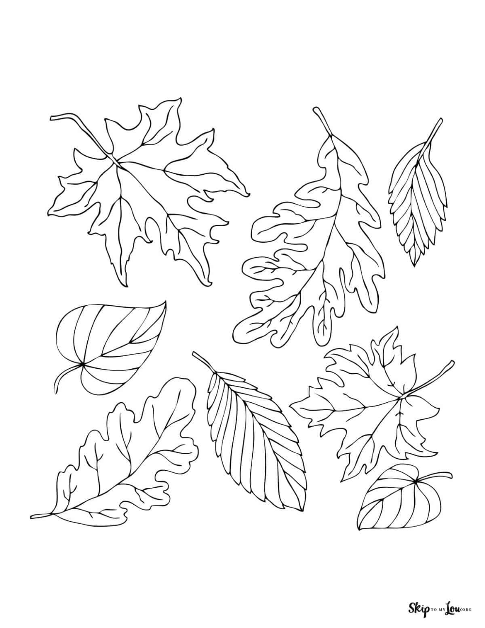 34 Fall Leaves Coloring Pages Printable 21